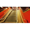 Automatic Conveyer Supermarket Passenger Moving Sidewalk